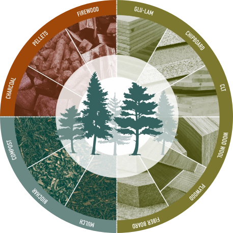 Products from ecologically managed forests. Burn (red, upper left) = in fire-prone forests, using wood to power low-emission bioenergy facilities replaces fossil fuels and produces less GHGs than pile burning or mega fires. Bury (green, lower left) = compost is one of the simplest products made from any woody biomass, requiring little energy and diverting biomass from landfills (where it can generate methane, a greenhouse gas). Build (brown/green, lower right) = making productive use of harvested wood is difficult due to a lack of processing infrastructure. More distributed solutions for utilizing small-diameter wood for building material should be pursued to create a viable economy for ecological forest management.