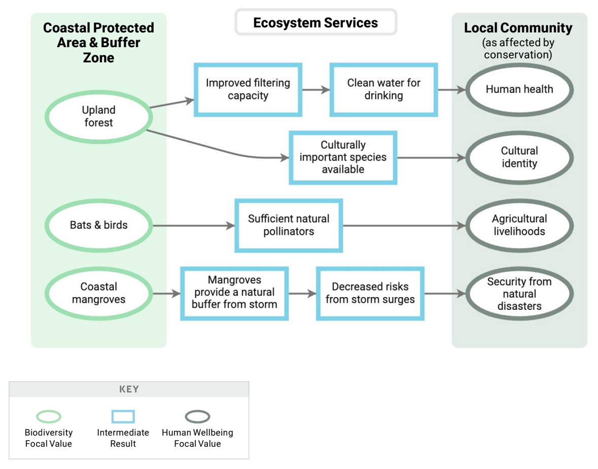 Example results chain extract with ecosystem services and human wellbeing focal values.