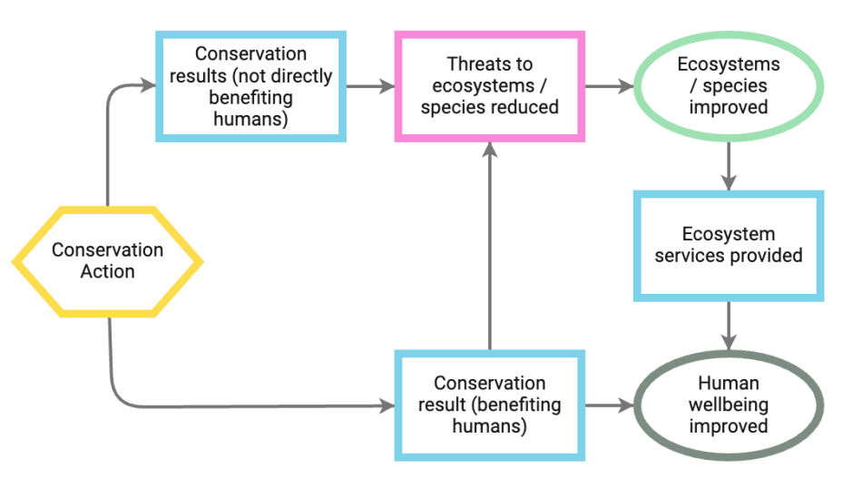 High level relationships of how conservation actions can contribute to human wellbeing.