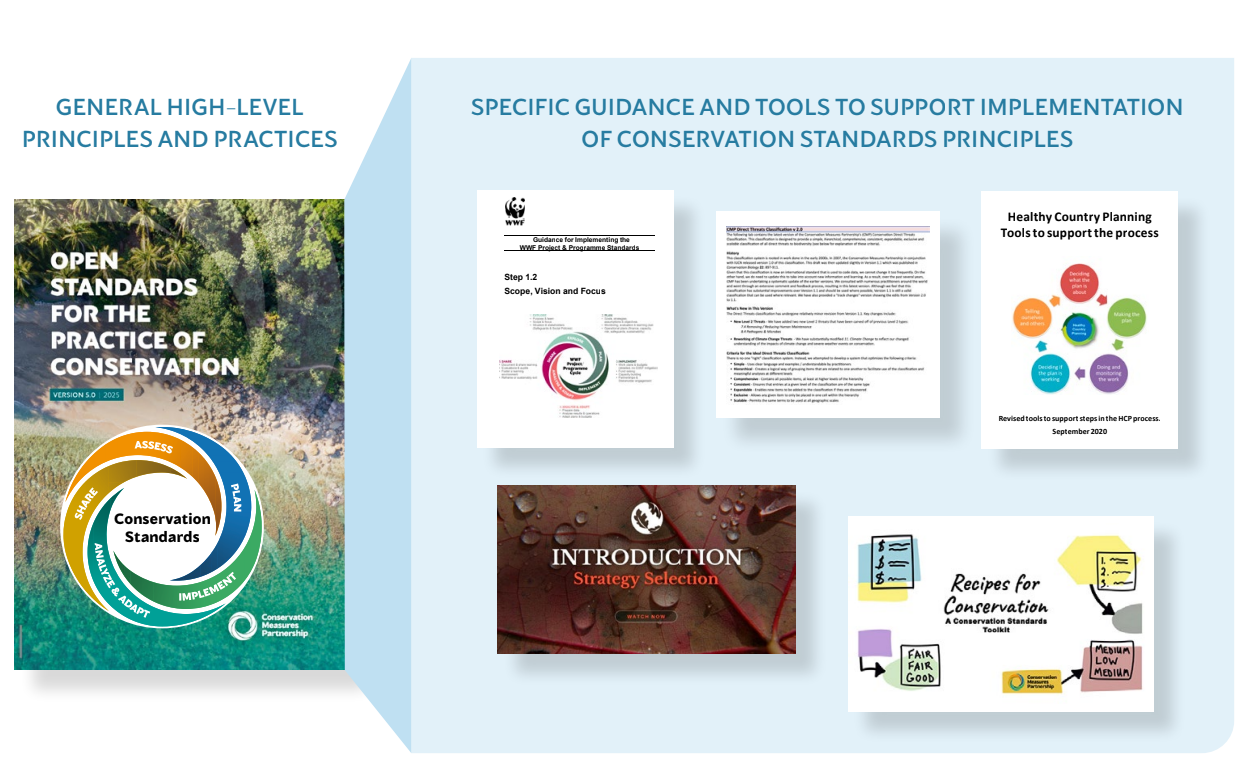 Relationship between the Conservation Standards and associated resources.