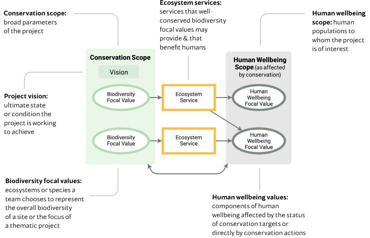 Generic situation model extract showing scope, vision, and focal values.