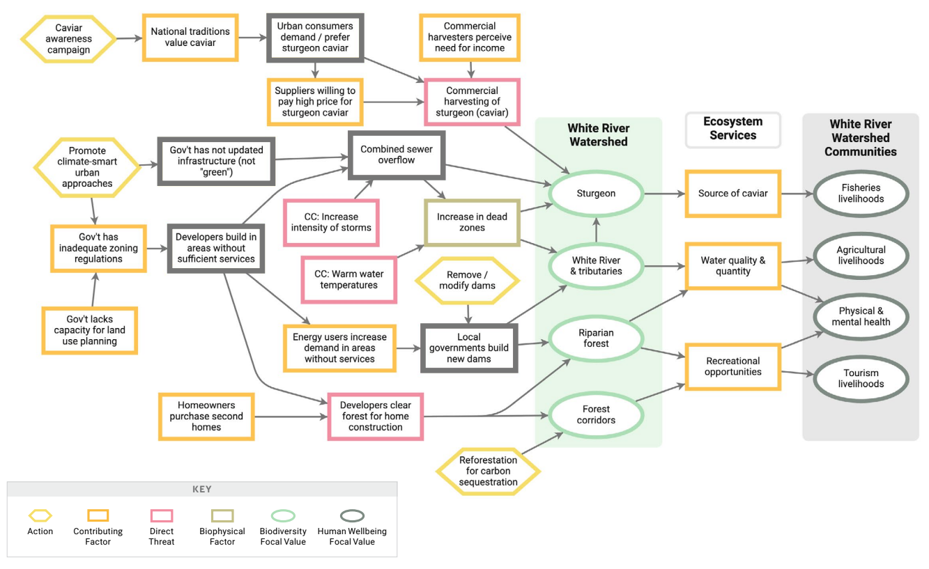 Example situation model with key intervention points (bolded boxes) and actions.