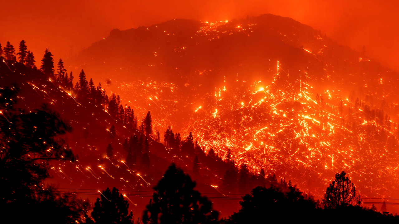 High intensity burning taken during the Caldor Fire.