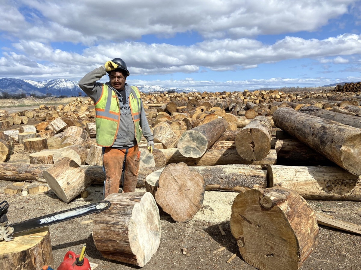 Jacob Vann, Elder, Share & Sale Program crewmember, at Washoe Wood Yard. Photo by Kaleb Roedel, Mountain West News Bureau.