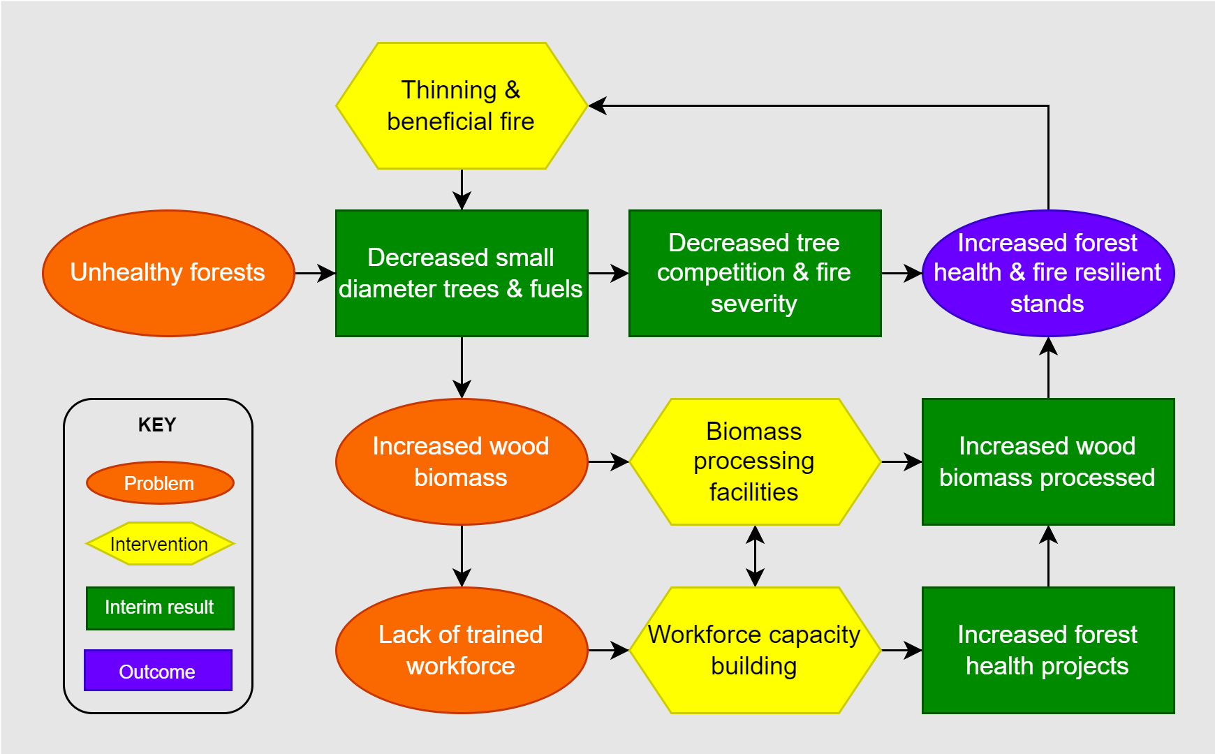 Simplified forest health theory of change.