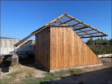Forestree’s NLT solar kiln.