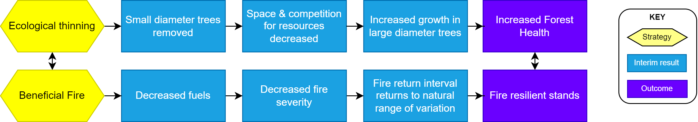 Results chains are a visual diagram of a theory of change showing anticipated outcomes .