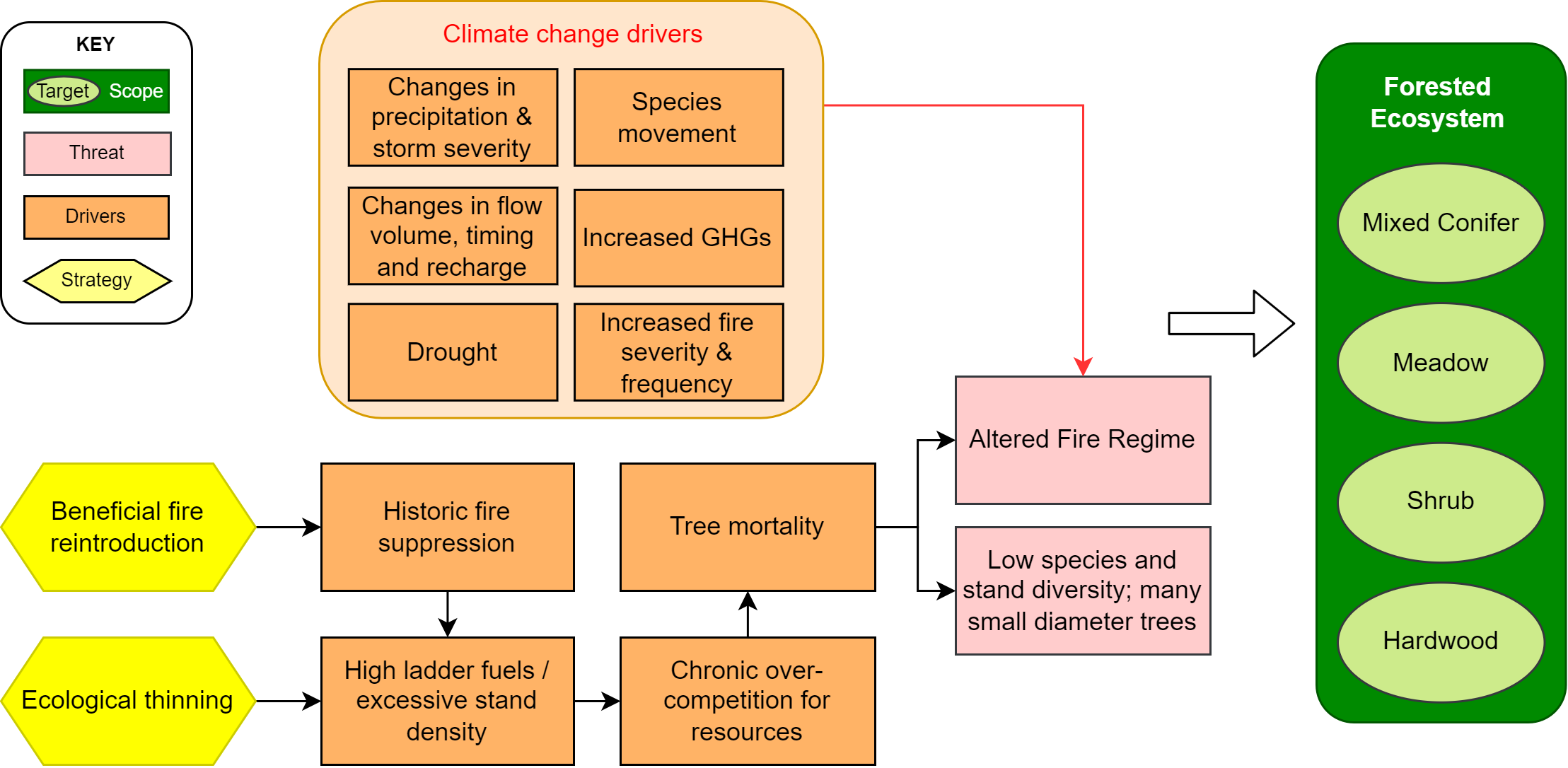 Simplified forest health situation model.