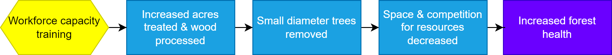 A simplified workforce capacity results chain.