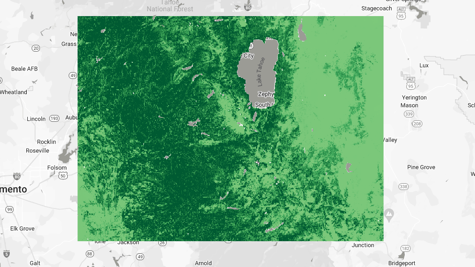 Gray basemap bar after adding the grayscale map.