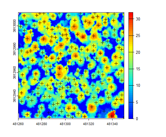 Treetop centers in the rasterized canopy height model.