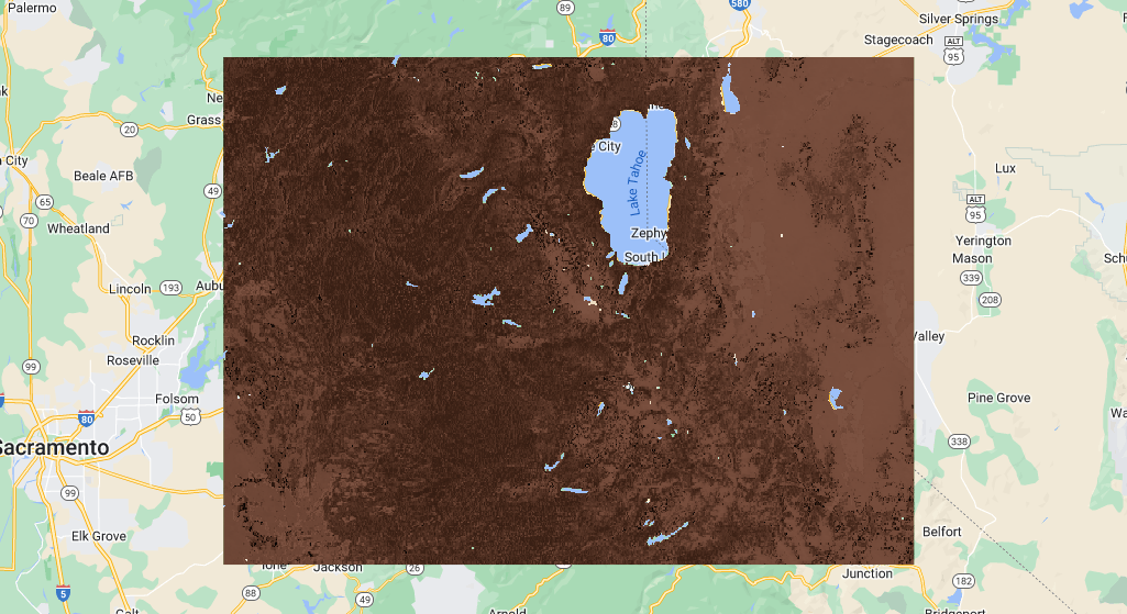 Belowground biomass clipped to the area of interest.