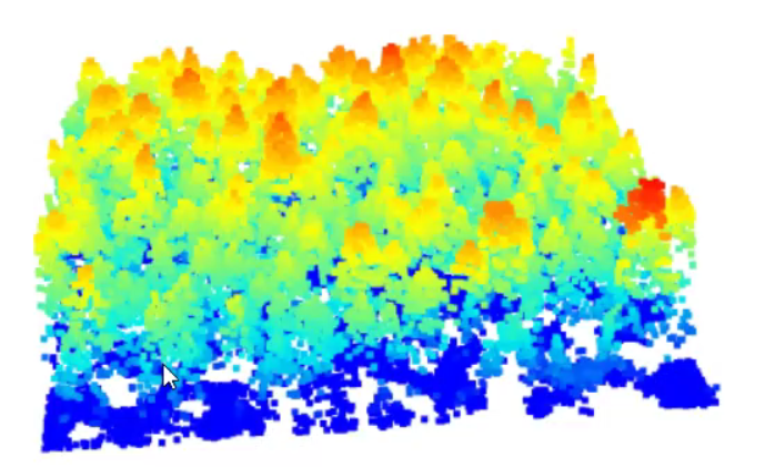 Model of trees in 3d from las file.