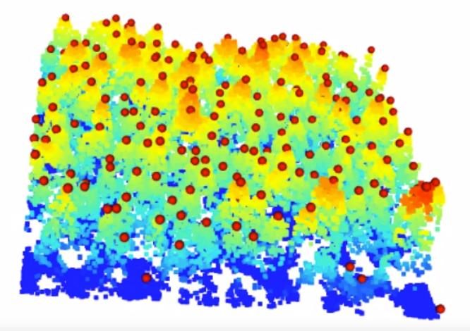 Screenshot of the tree centers video in the 3d model.