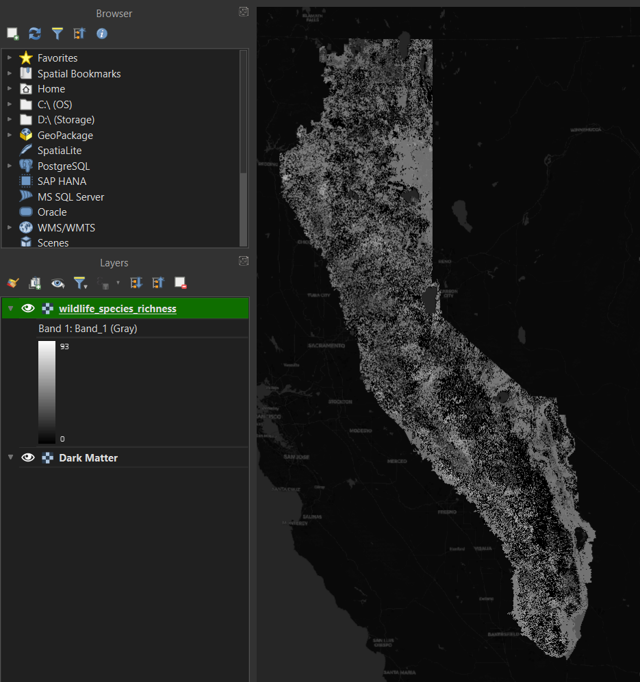 Grayscale raster of wildlife species richness imported into QGIS.